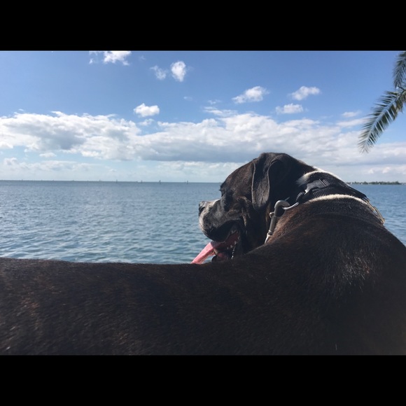 Meet your Posher, Gina - Picture 7 of 7